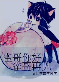 (BG/家教同人)雀哥你好，雀哥再见