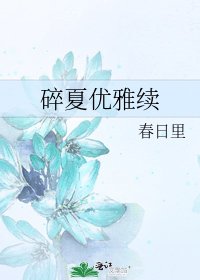 碎夏优雅续